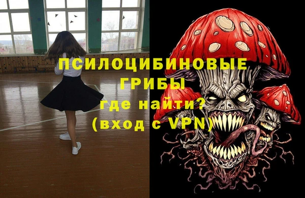 стаф Абинск