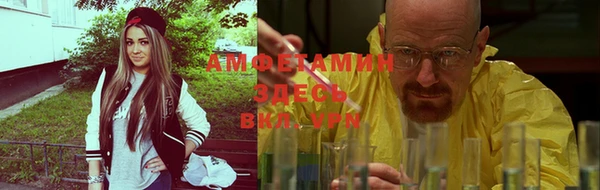 прущие грибы Абаза