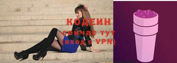 прущие грибы Абаза
