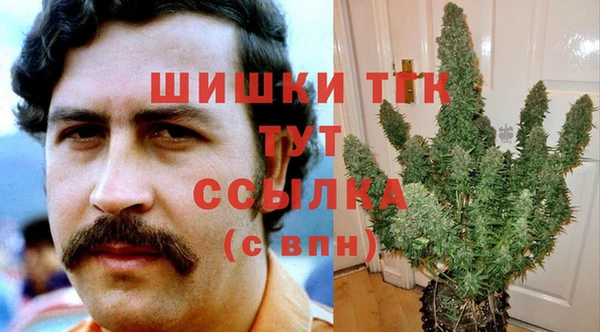 прущие грибы Абаза