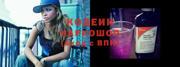 прущие грибы Абаза
