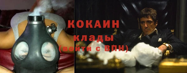 прущие грибы Абаза