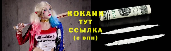 прущие грибы Абаза