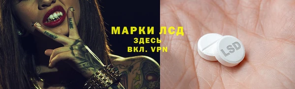 прущие грибы Абаза