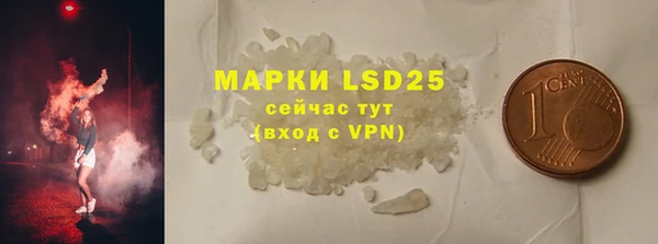 прущие грибы Абаза