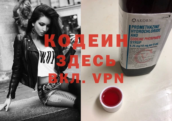 прущие грибы Абаза