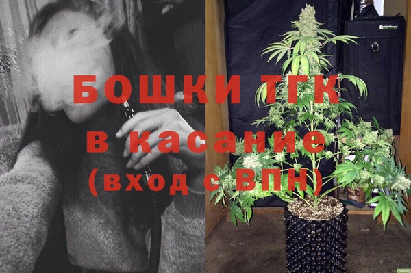 стаф Абинск