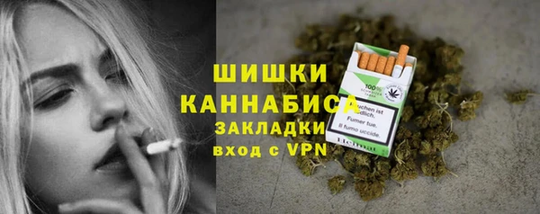 прущие грибы Абаза