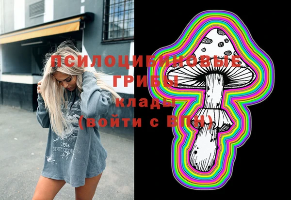 прущие грибы Абаза