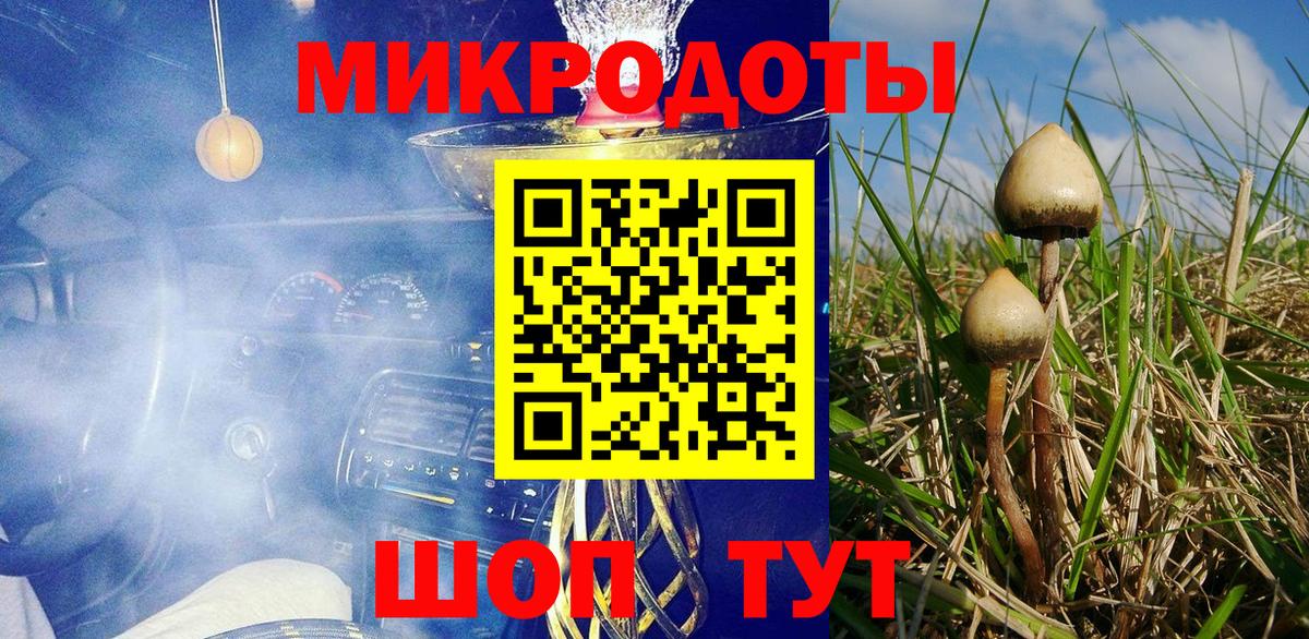 Галлюциногенные грибы Cubensis  Вход с VPN  Галлюциногенные грибы Psilocybe  Луга 