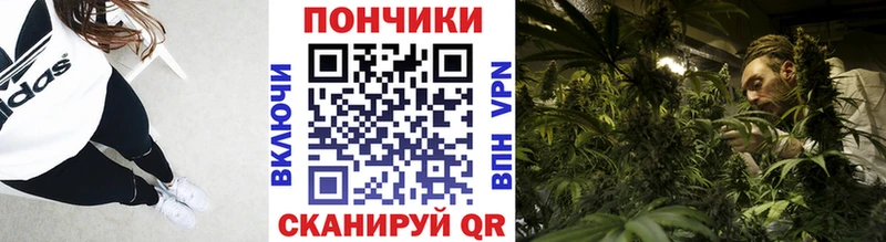 Канабис конопля  закладка  Луга 